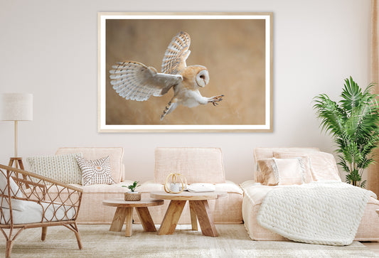 White & Beige Barn Owl Flying Home Decor Premium Quality Poster Print Choose Your Sizes