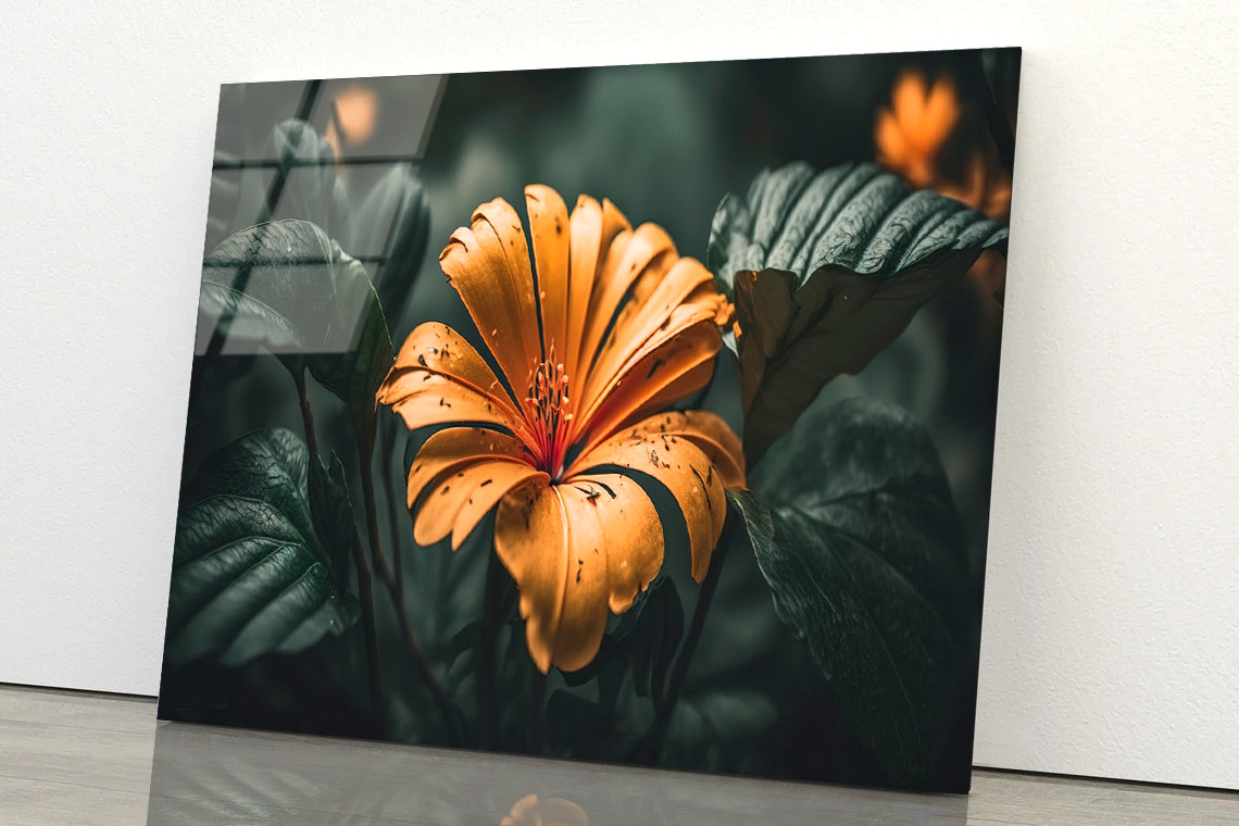 Close-up of an Orange Blossom Acrylic Glass Print Tempered Glass Wall Art 100% Made in Australia Ready to Hang - Bella Home Decor