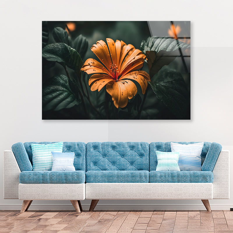 Close-up of an Orange Blossom Acrylic Glass Print Tempered Glass Wall Art 100% Made in Australia Ready to Hang - Bella Home Decor