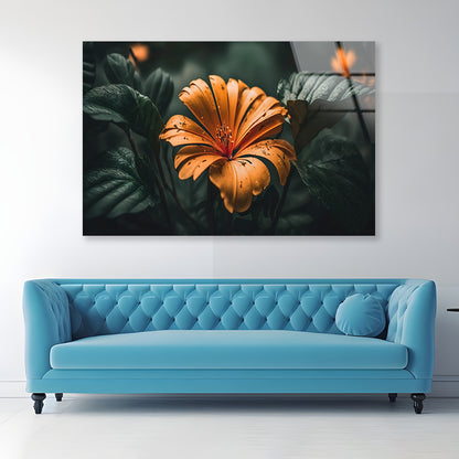 Close-up of an Orange Blossom Acrylic Glass Print Tempered Glass Wall Art 100% Made in Australia Ready to Hang - Bella Home Decor