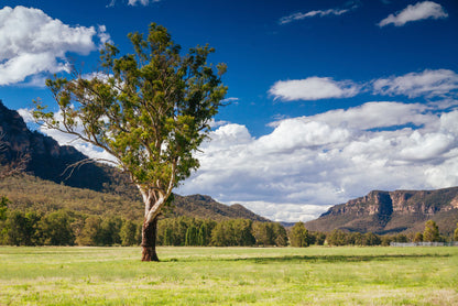 A Cloudy Sky and Mountains with Grass and Meadows Home Decor Premium Quality Poster Print Choose Your Sizes