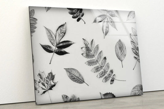 B&W Leaves Pattern UV Direct Aluminum Print Australian Made Quality