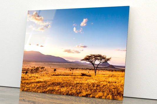 View of Sunset at Savannah Plains with Mountains Acrylic Glass Print Tempered Glass Wall Art 100% Made in Australia Ready to Hang