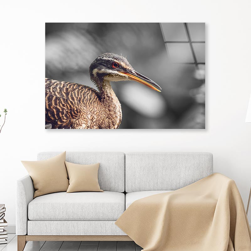 B&W Scenic View of Bird Acrylic Glass Print Tempered Glass Wall Art 100% Made in Australia Ready to Hang