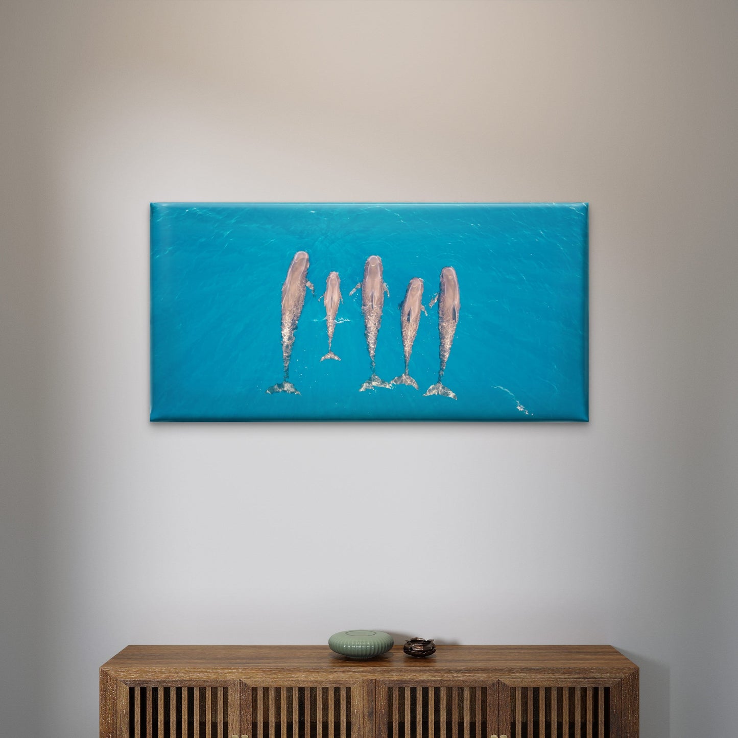 Aerial Dolphin Pod Australia Wall Art Canvas Office Home Room Framed 120x60cm