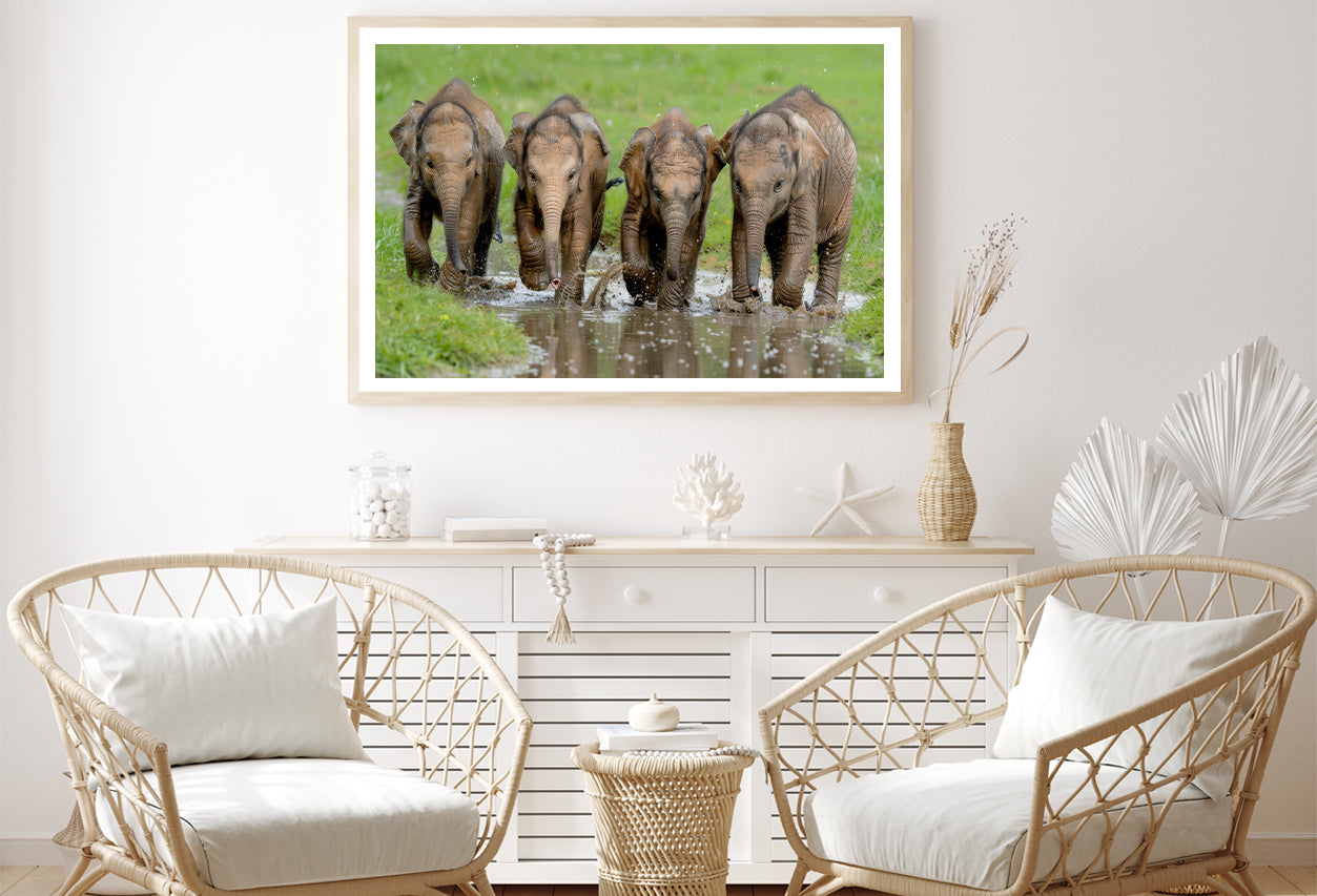 A Group of Elephants Peacefully Grazing Home Decor Premium Quality Poster Print Choose Your Sizes - Bella Home Decor