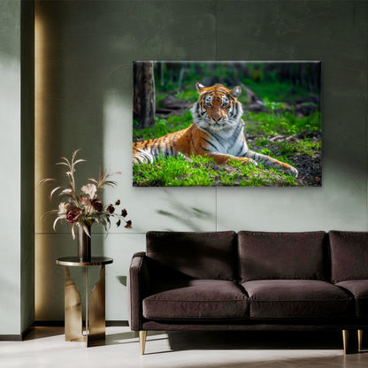 Majestic Bengal Tiger in Indian Woodland Wall Art Decor 100% Australian Made