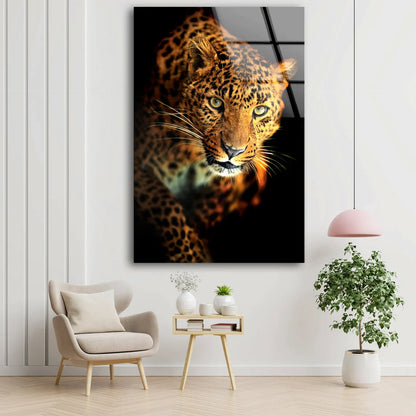 Leopard Face Closeup UV Direct Aluminum Print Australian Made Quality