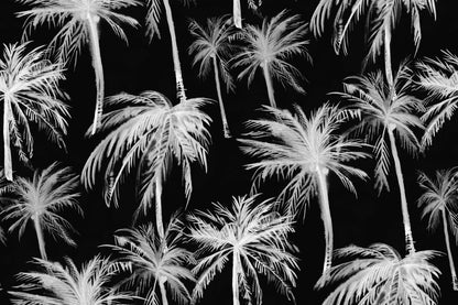 Black White Tropical Palm Tree Pattern Wall Art Decor 100% Australian Made