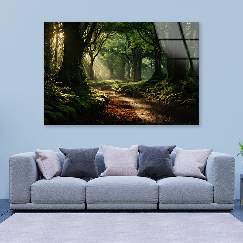 Morning in the Woods Acrylic Glass Print Tempered Glass Wall Art 100% Made in Australia Ready to Hang - Bella Home Decor