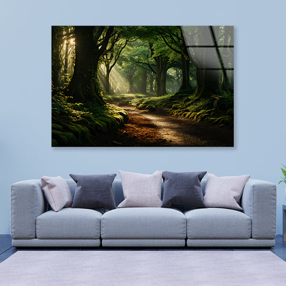 Morning in the Woods Acrylic Glass Print Tempered Glass Wall Art 100% Made in Australia Ready to Hang - Bella Home Decor