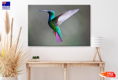 Green-Breasted Mango Female  Wall Art Decor 100% Australian Made - Bella Home Decor