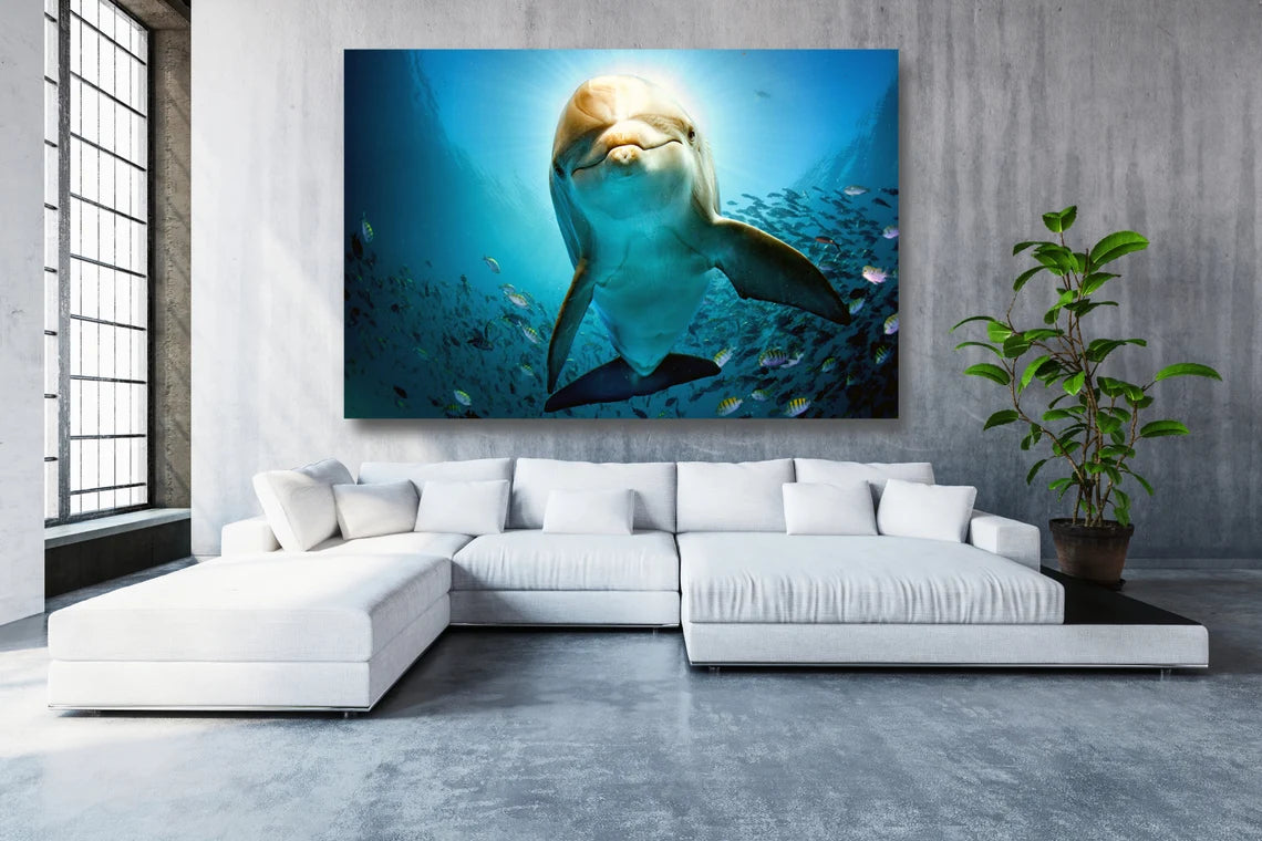 Dolphin In The Ocean Acrylic Glass Print Tempered Glass Wall Art 100% Made in Australia Ready to Hang