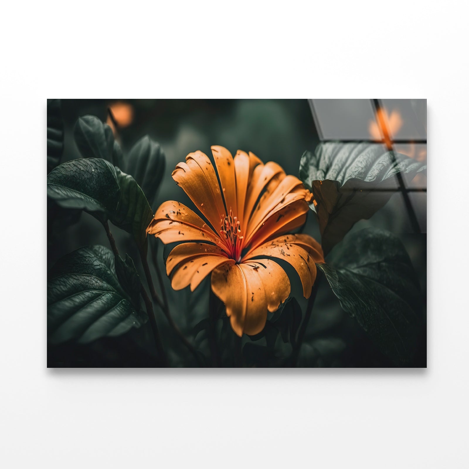 Close-up of an Orange Blossom Acrylic Glass Print Tempered Glass Wall Art 100% Made in Australia Ready to Hang - Bella Home Decor