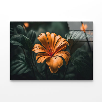 Close-up of an Orange Blossom Acrylic Glass Print Tempered Glass Wall Art 100% Made in Australia Ready to Hang - Bella Home Decor