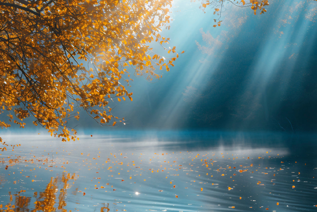 A Sunny and Foggy Morning Home Decor Premium Quality Poster Print Choose Your Sizes - Bella Home Decor