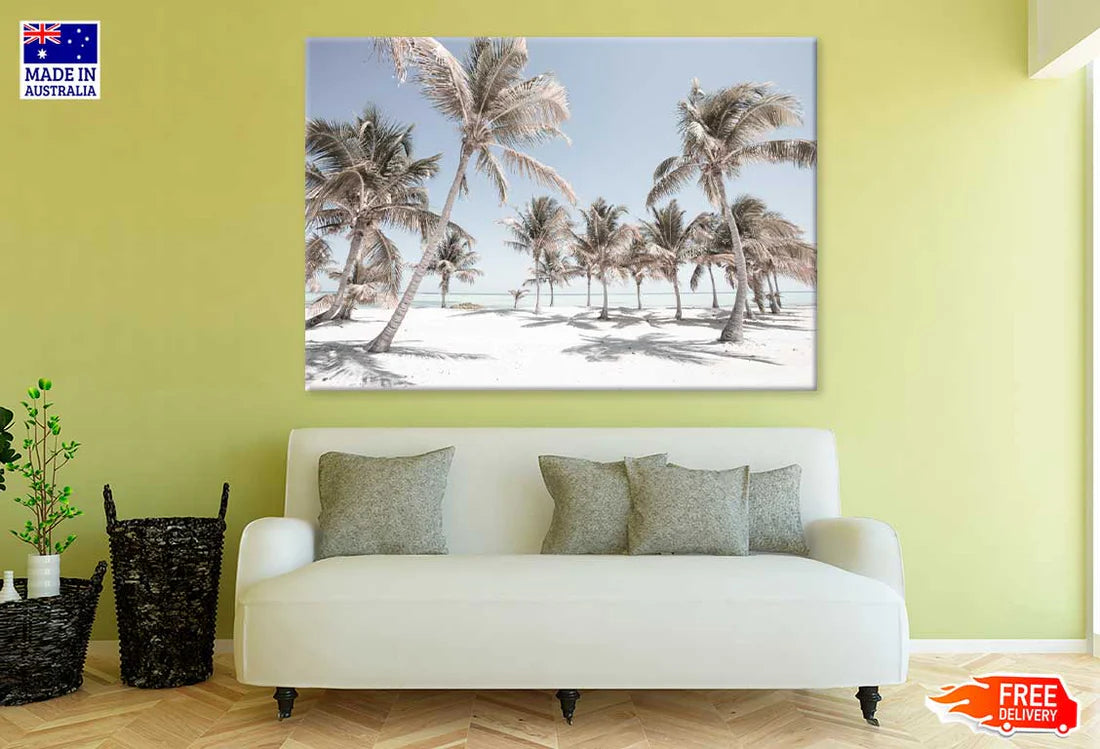 Palm Trees on Sandy Seashore View Photograph 90x60cm Print 100% Australian Made