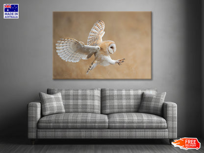 White & Beige Barn Owl Flying Print 100% Australian Made