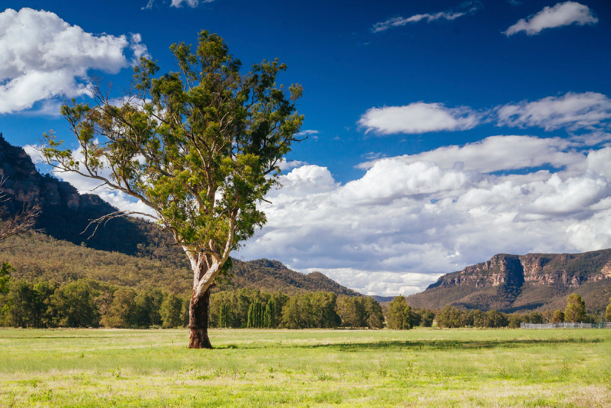 A Cloudy Sky and Mountains with Grass and Meadows Print 100% Australian Made