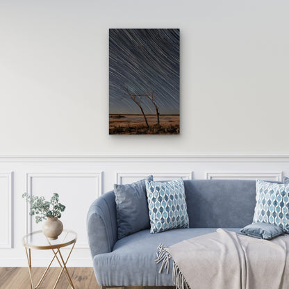 Star Trails Arc Across the Night Sky 40x60cm Metal Print Ready to Hang
