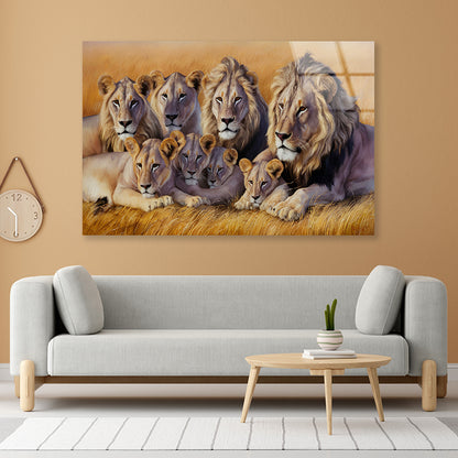 A Pride of Lions Resting Together In the Grasslands Acrylic Glass Print Tempered Glass Wall Art 100% Made in Australia Ready to Hang