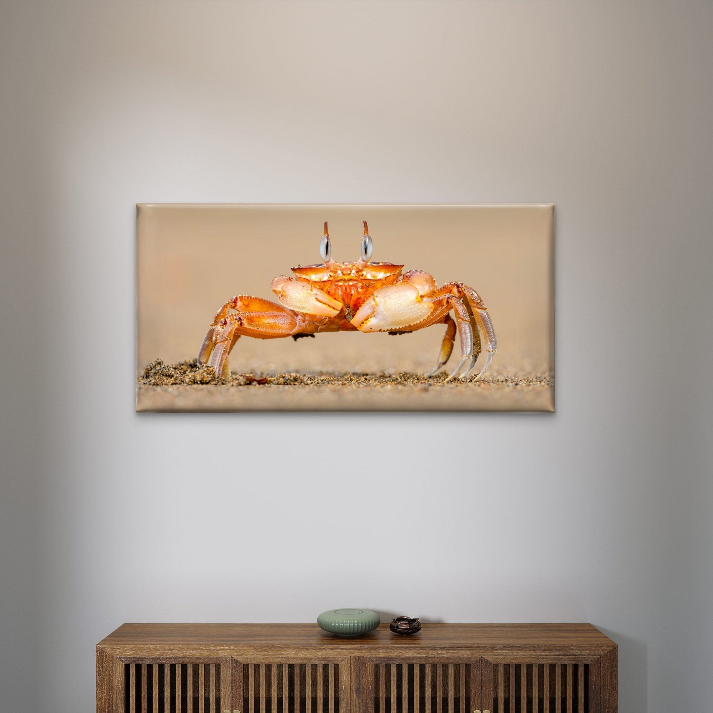 Horned Ghost Crab on a Beach Wall Art Canvas Office Home Room Framed 120x60cm