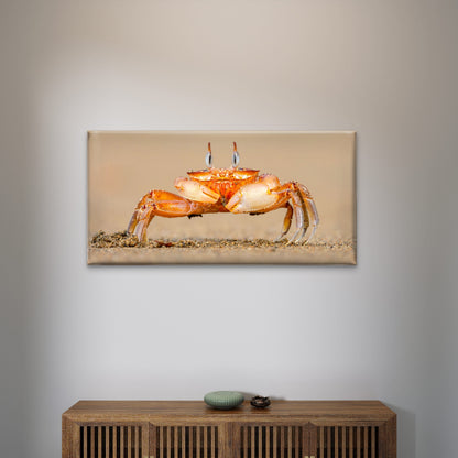 Horned Ghost Crab on a Beach Wall Art Canvas Office Home Room Framed 120x60cm