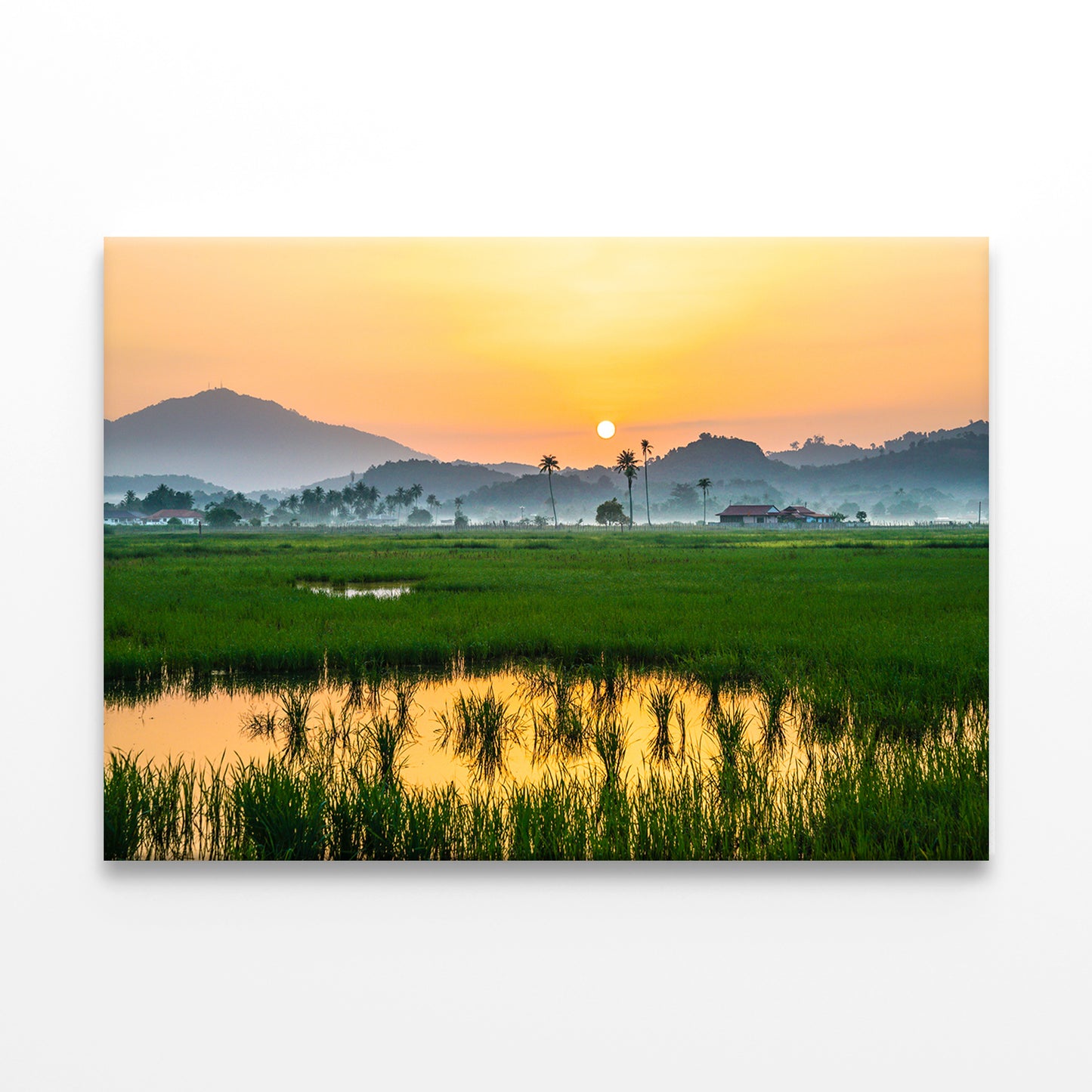 Countryside scenery in Malaysia Wall Art Decor 100% Australian Made - Bella Home Decor
