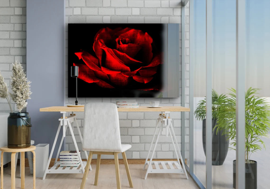 Red Rose Closeup Dark UV Direct Aluminum Print Australian Made Quality