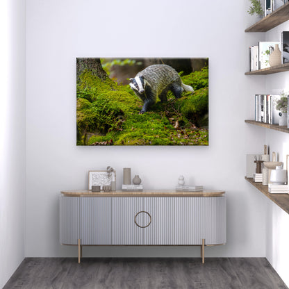 Black And White Striped European Badger Wall Art Decor 100% Australian Made
