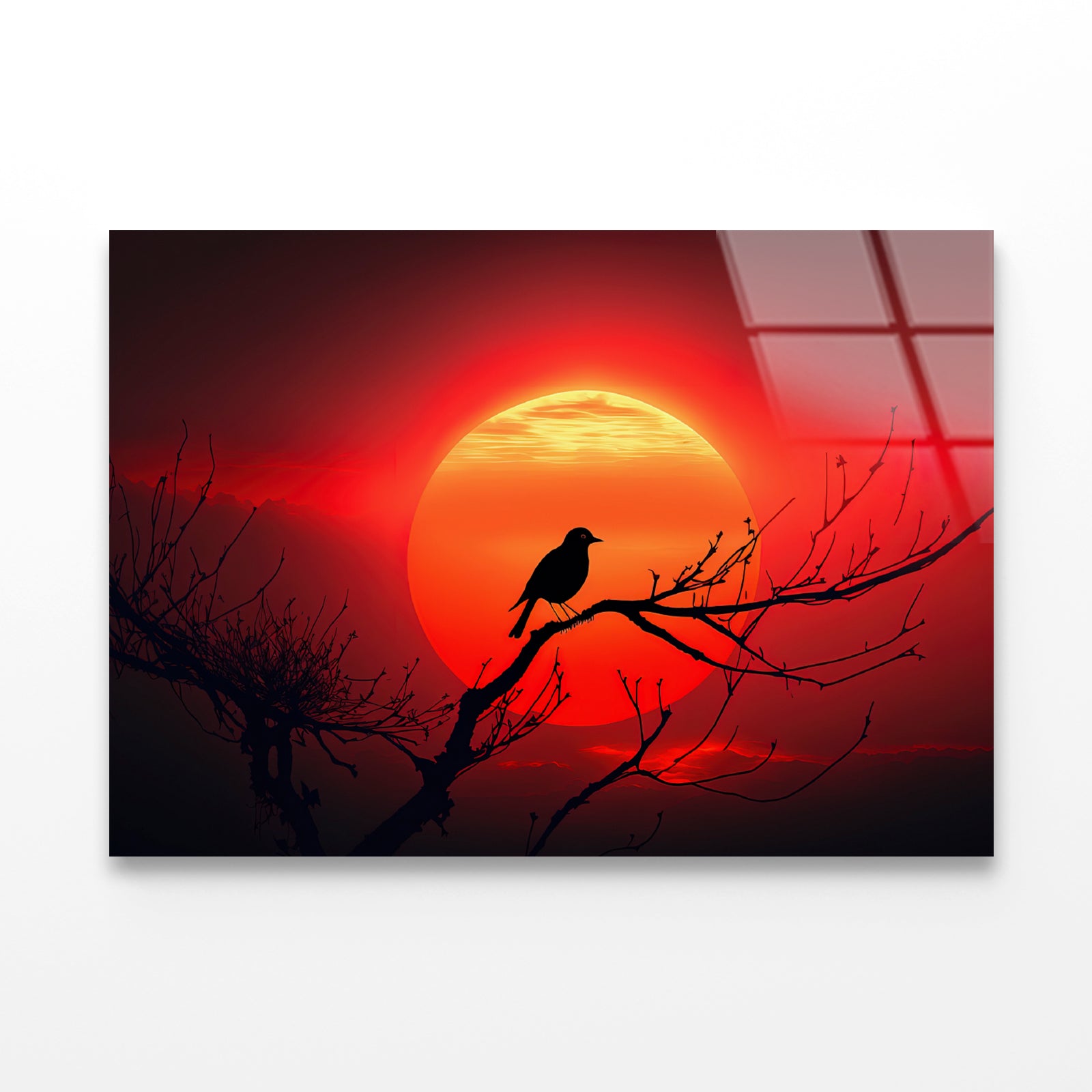 Bird, Sun & Sunset Acrylic Glass Print Tempered Glass Wall Art 100% Made in Australia Ready to Hang - Bella Home Decor