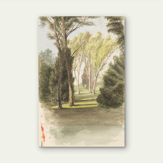 Vintage Forest Path Watercolor 40x60cm Metal Print Ready to Hang