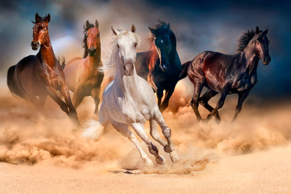 Horse Herd Run In Desert Sand Glass Framed Wall Art, Ready to Hang Quality Print