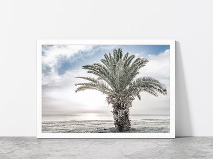 Date Tree near Sea Faded Photograph Glass Framed Wall Art, Ready to Hang Quality Print