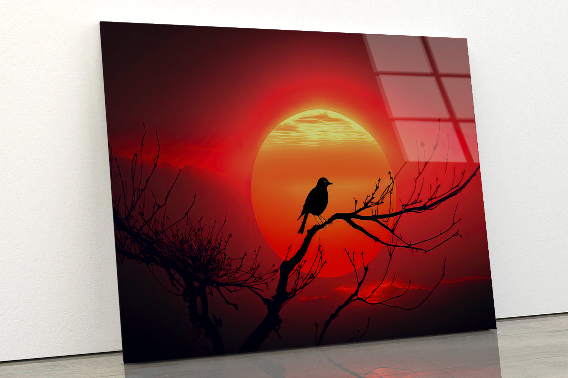 Bird, Sun & Sunset Acrylic Glass Print Tempered Glass Wall Art 100% Made in Australia Ready to Hang - Bella Home Decor