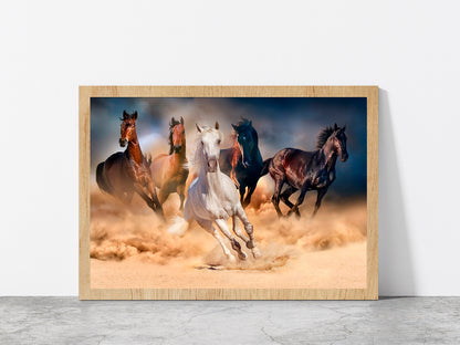 Horse Herd Run In Desert Sand Glass Framed Wall Art, Ready to Hang Quality Print Without White Border Oak