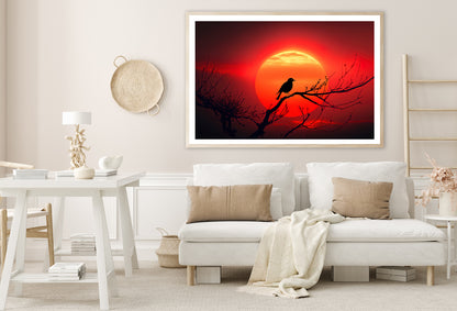 Bird, Sun & Sunset Home Decor Premium Quality Poster Print Choose Your Sizes - Bella Home Decor