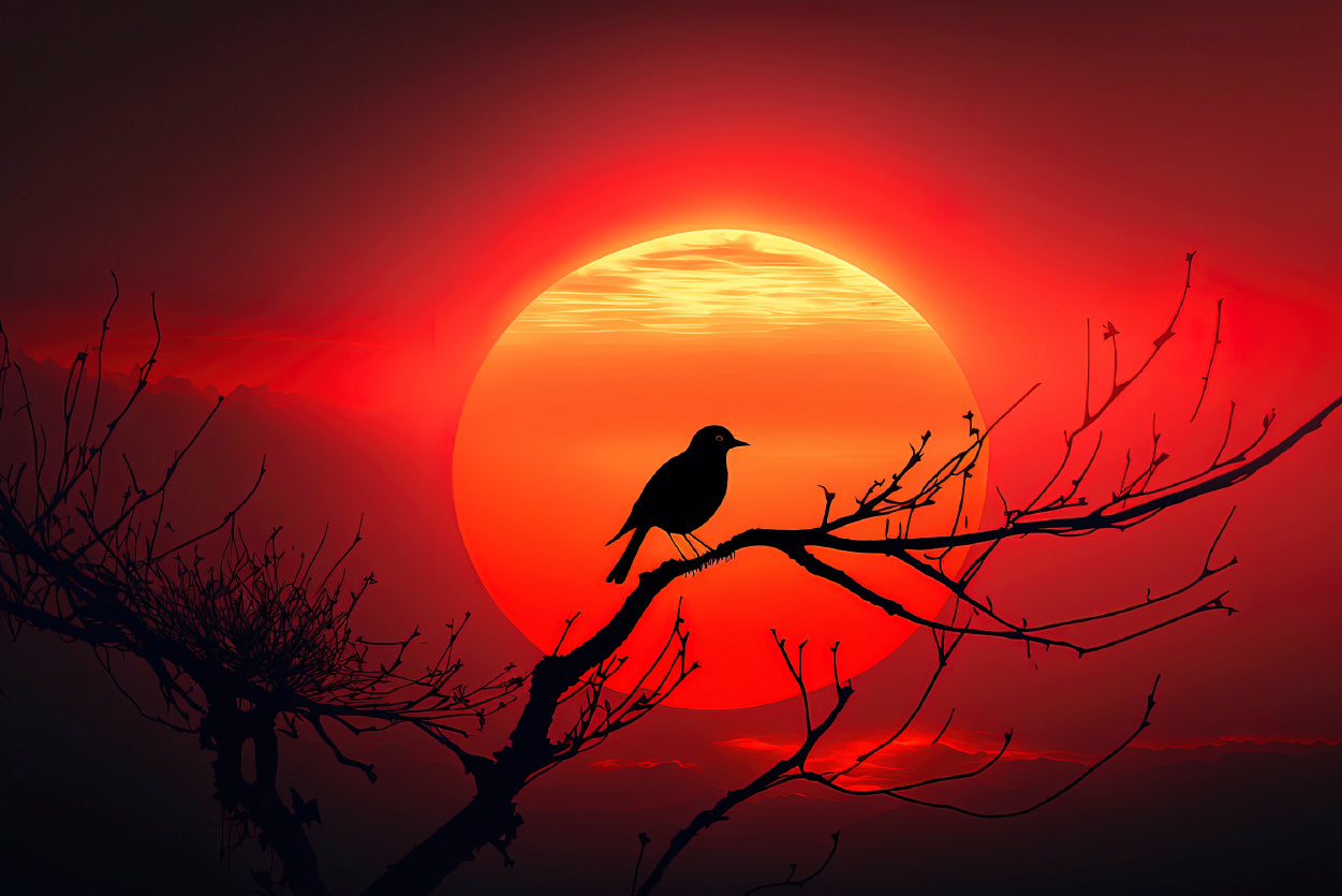 Bird, Sun & Sunset Print 100% Australian Made - Bella Home Decor