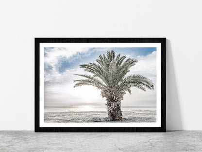 Date Tree near Sea Faded Photograph Glass Framed Wall Art, Ready to Hang Quality Print