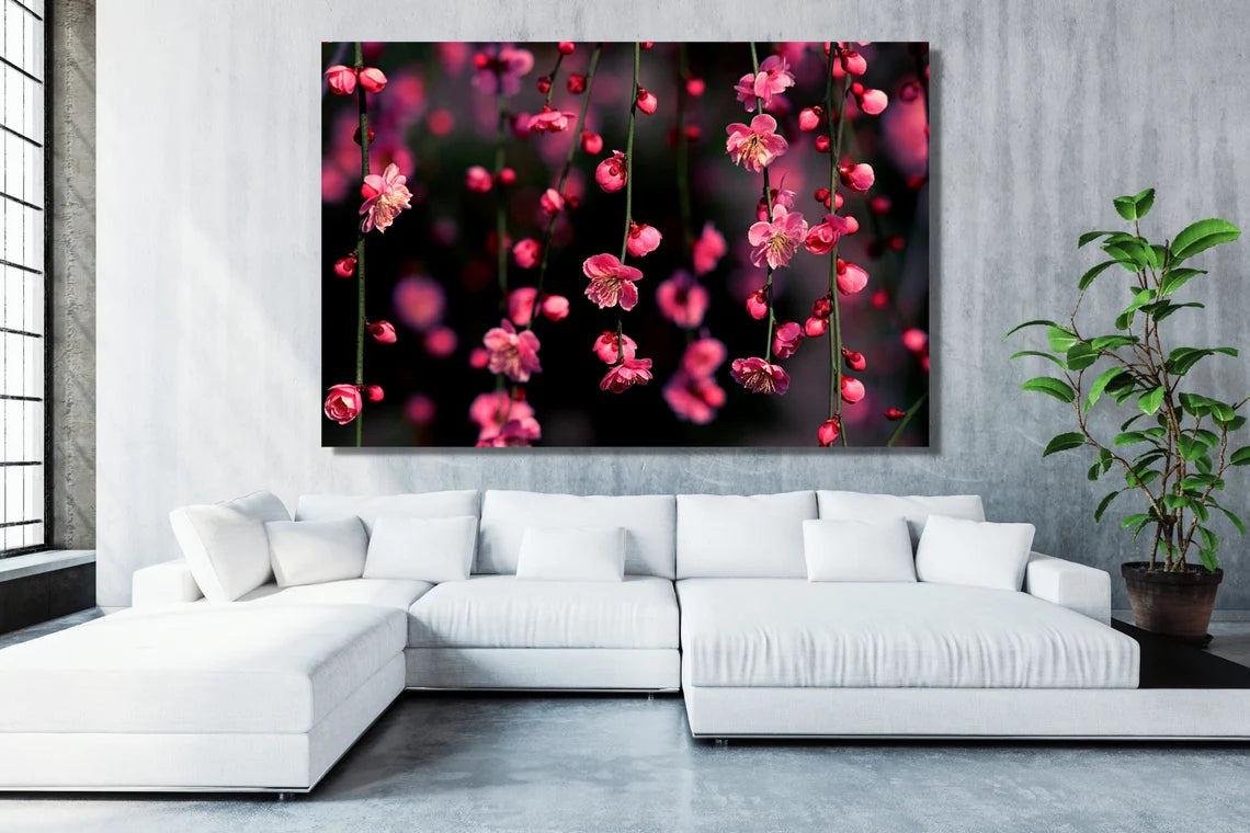 Cherry Blossom Flower Wall Art UV Direct Aluminum Print Australian Made Quality