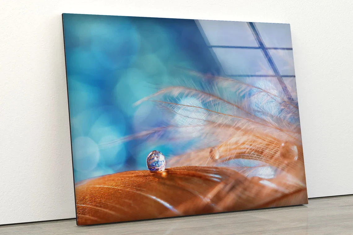 Waterdrops on Feathers UV Direct Aluminum Print Australian Made Quality