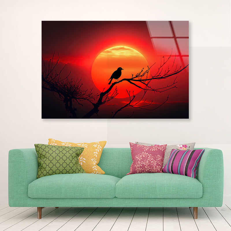 Bird, Sun & Sunset Acrylic Glass Print Tempered Glass Wall Art 100% Made in Australia Ready to Hang - Bella Home Decor