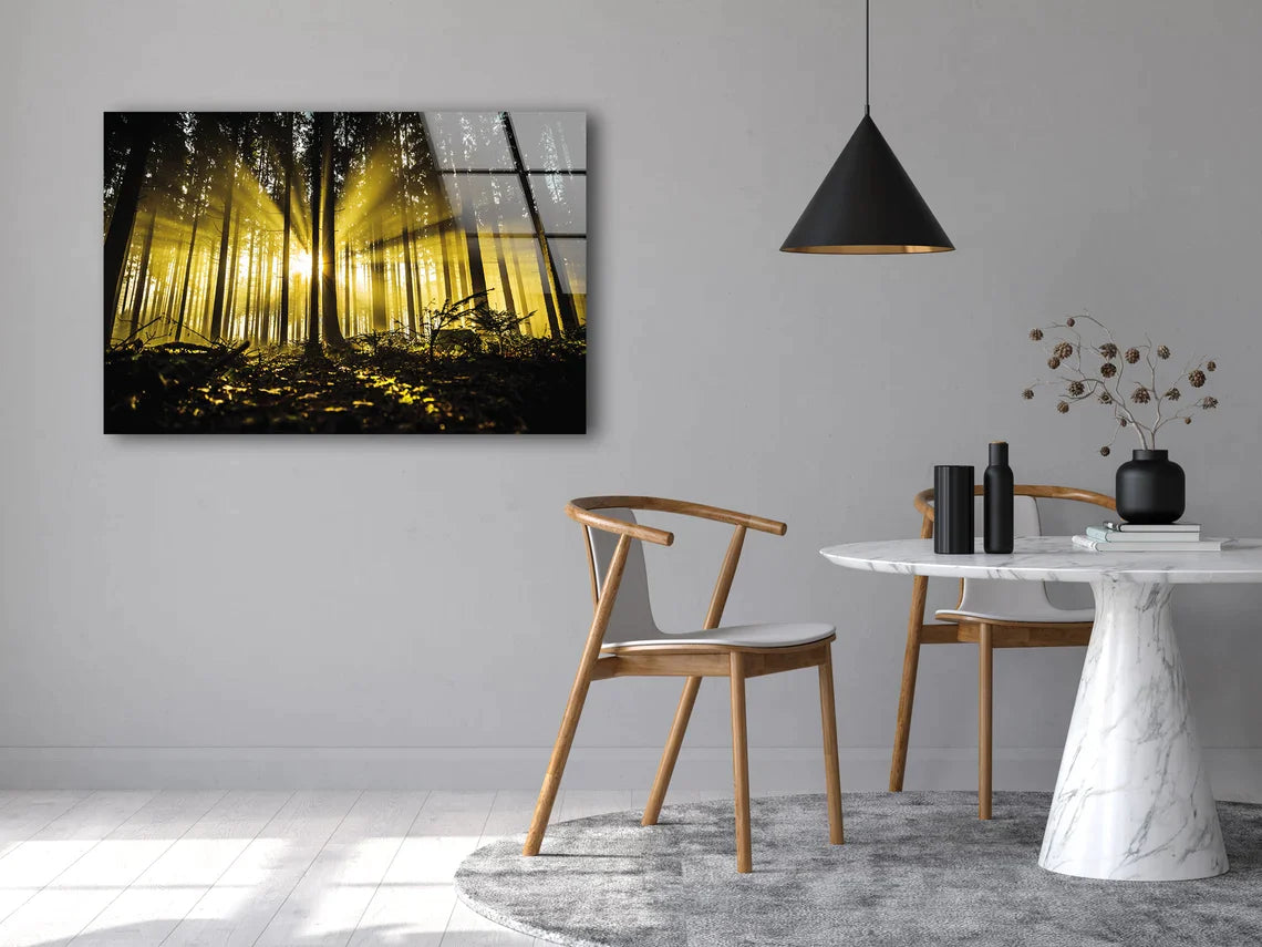 Dark Forest & Sunrays UV Direct Aluminum Print Australian Made Quality