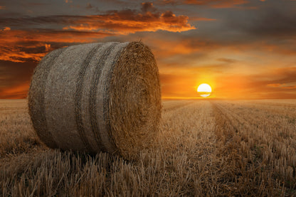 Straw Bales in A Field at Sunset Acrylic Glass Print Tempered Glass Wall Art 100% Made in Australia Ready to Hang - Bella Home Decor