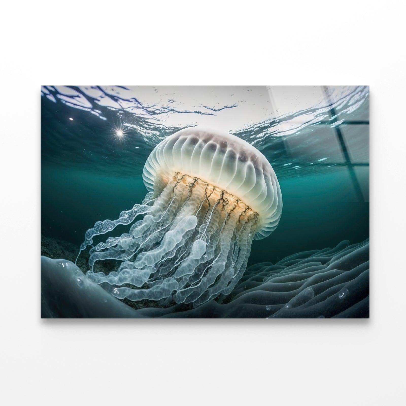 White Jellyfish Floating In the Water Acrylic Glass Print Tempered Glass Wall Art 100% Made in Australia Ready to Hang - Bella Home Decor