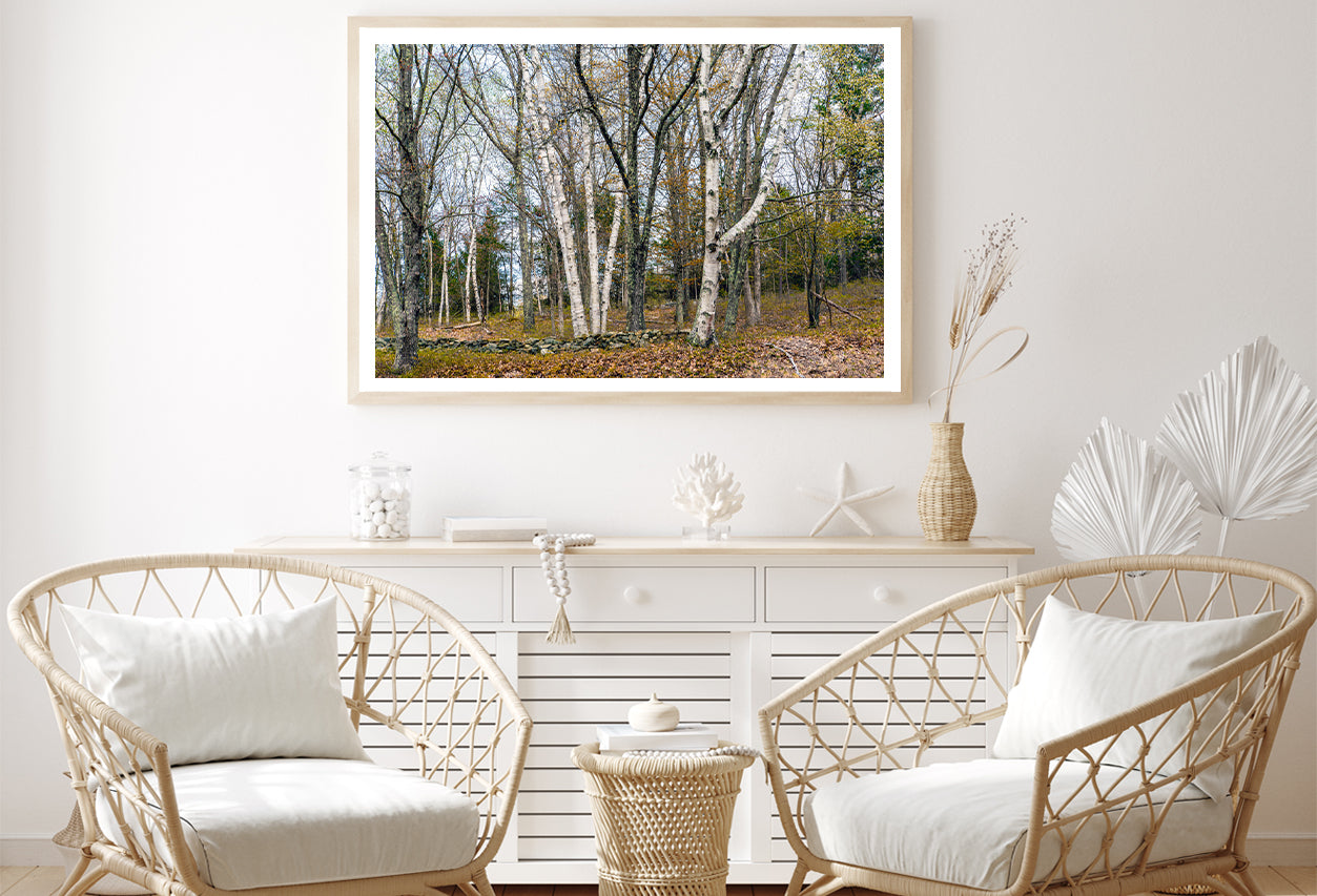 A Forest of Deciduous Trees in autumn Home Decor Premium Quality Poster Print Choose Your Sizes - Bella Home Decor