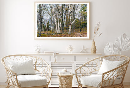 A Forest of Deciduous Trees in autumn Home Decor Premium Quality Poster Print Choose Your Sizes - Bella Home Decor