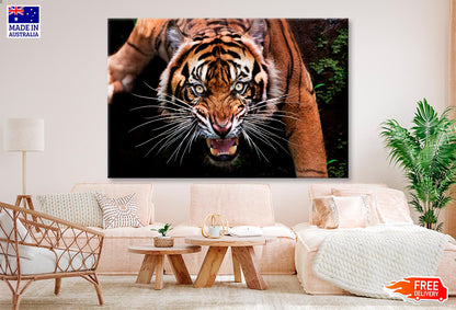 Wild Tiger Face Closeup  Wall Art Decor 100% Australian Made