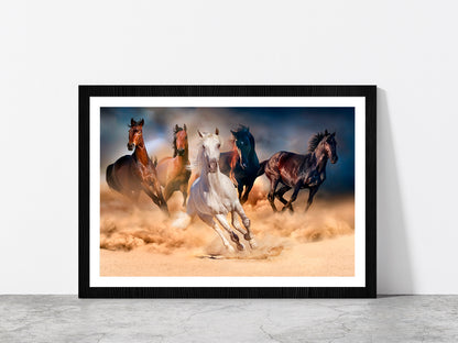 Horse Herd Run In Desert Sand Glass Framed Wall Art, Ready to Hang Quality Print With White Border Black