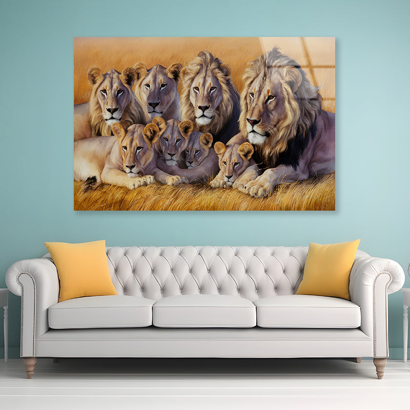 A Pride of Lions Resting Together In the Grasslands Acrylic Glass Print Tempered Glass Wall Art 100% Made in Australia Ready to Hang